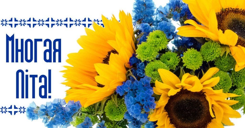 Вітаємо з Днем народження народного депутата України Анастасію Ляшенко!