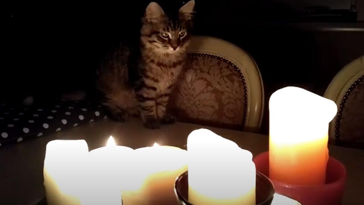 Планові відключення електроенергії