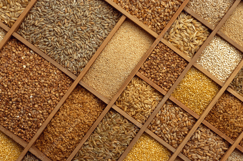 До уваги аграріїв Полтавщини: Пропонується насіння сільськогосподарських культурДо уваги аграріїв Полтавщини: Пропонується насіння сільськогосподарських культур