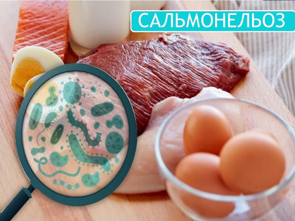 Увага! Сальмонельоз