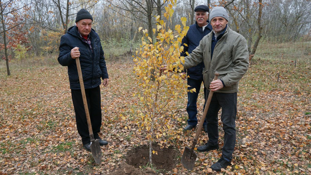 Алея Пам’яті на Зажур-горі поповнилась новими берізками