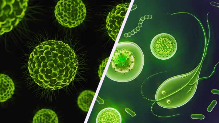 Інформує Лубенський підрозділ ДУ "«Полтавський обласний центр контролю та профілактики хвороб"