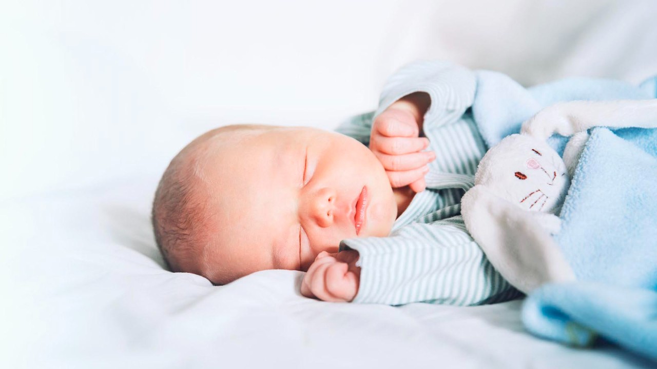  Наша громада поповнилася маленькими мешканцями