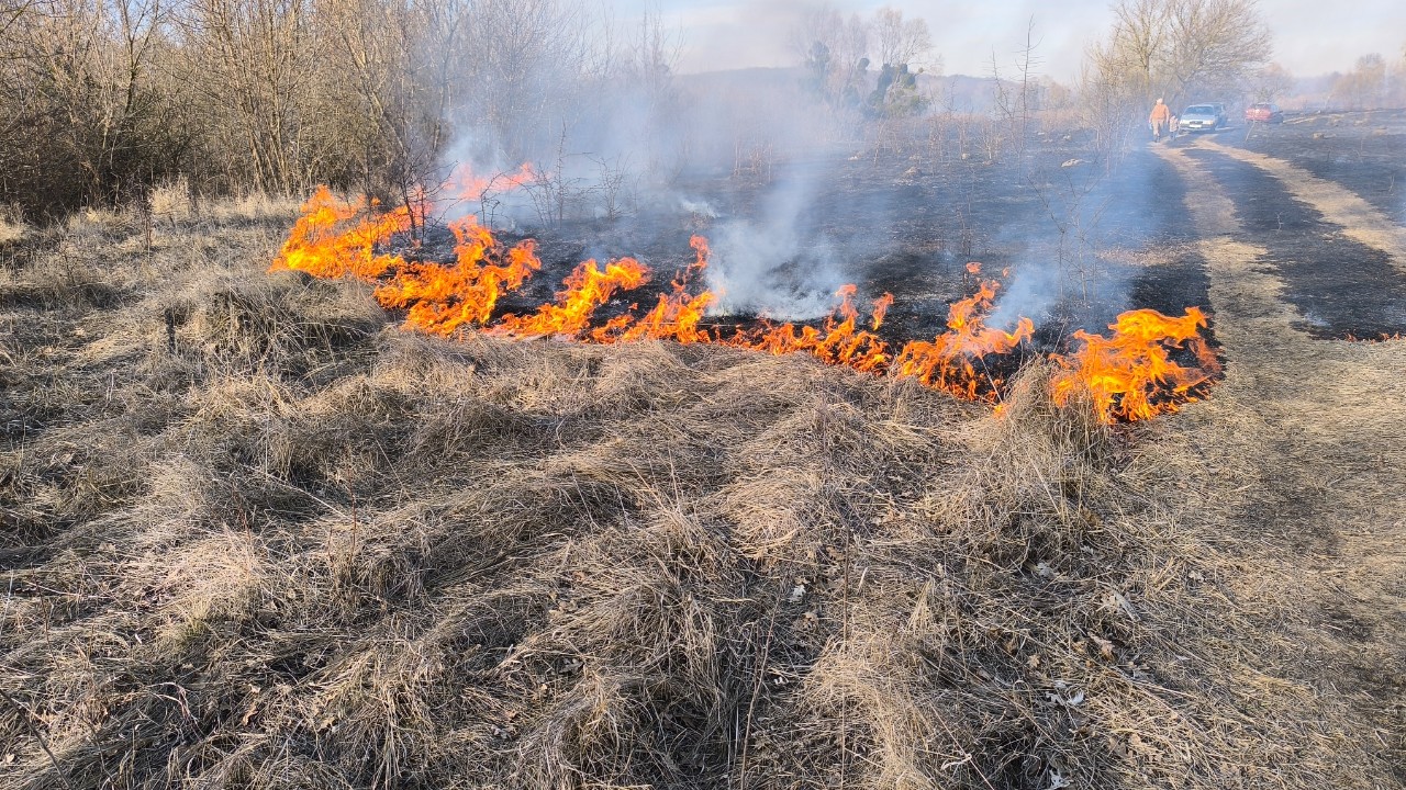 Увага, горить суха трава та сміття!