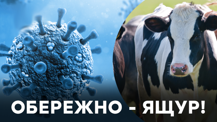 Обережно- ящур!