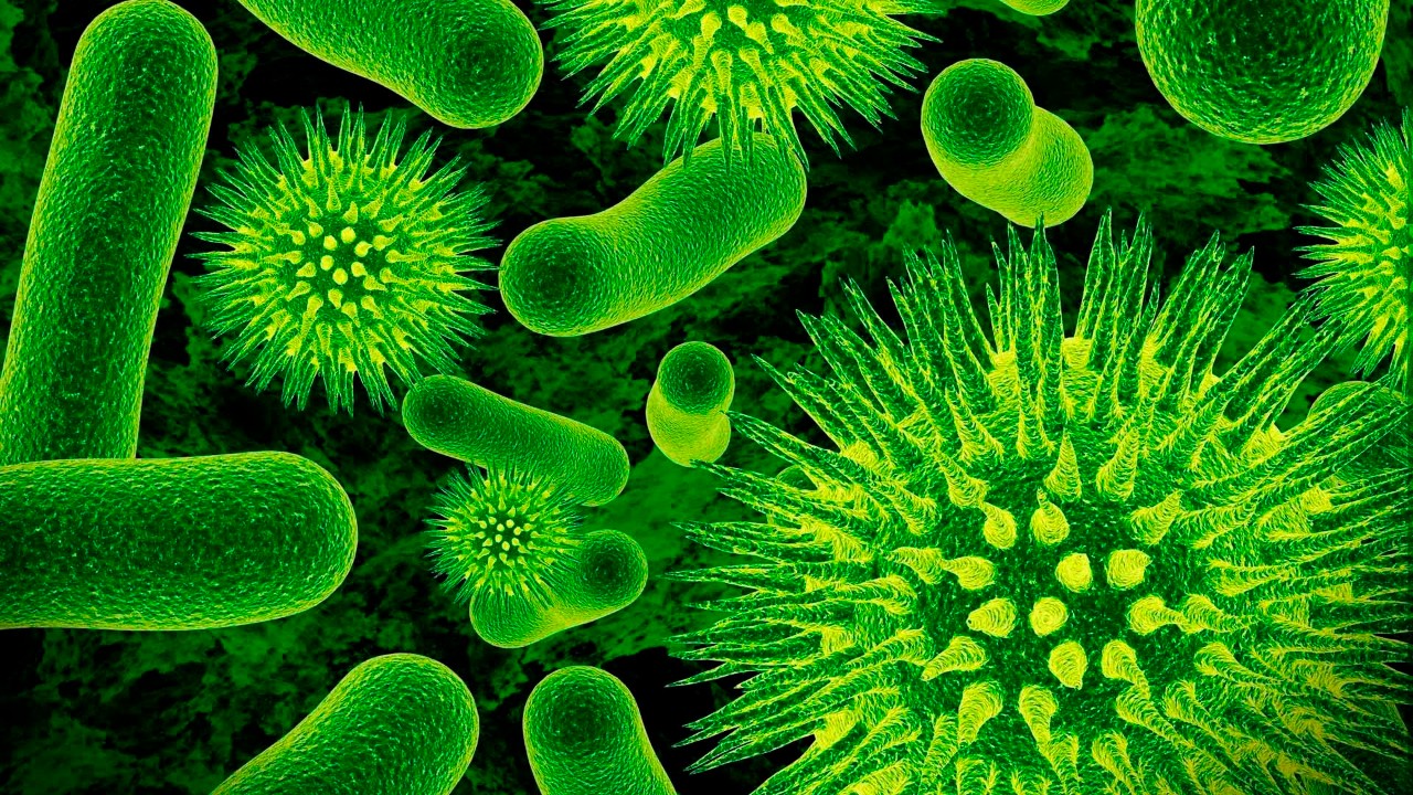 Інформує Лубенський підрозділ ДУ "Полтавський обласний центр контролю та профілактики хвороб"