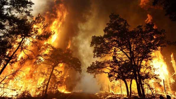 Не дай вогню шансу!