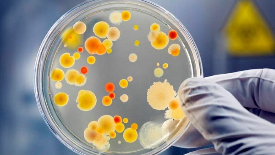 Інформує Лубенський підрозділ ДУ "«Полтавський обласний центр контролю та профілактики хвороб"