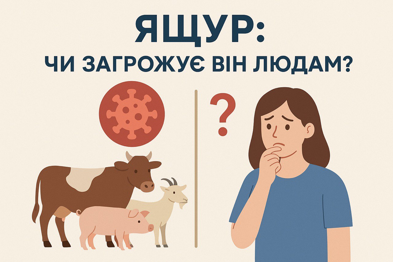  Ящур: чи загрожує він людям?