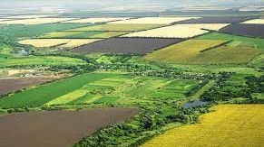 Спрощено процедуру відведення земельних ділянок