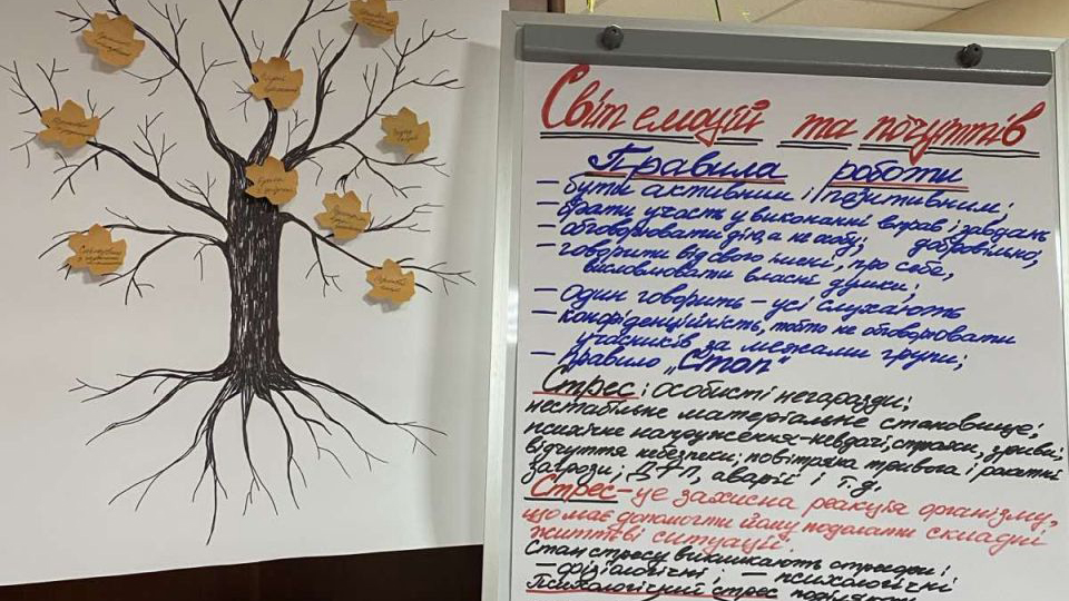 Світ емоцій та почуттів: психологічний тренінг для розвитку стресостійкості