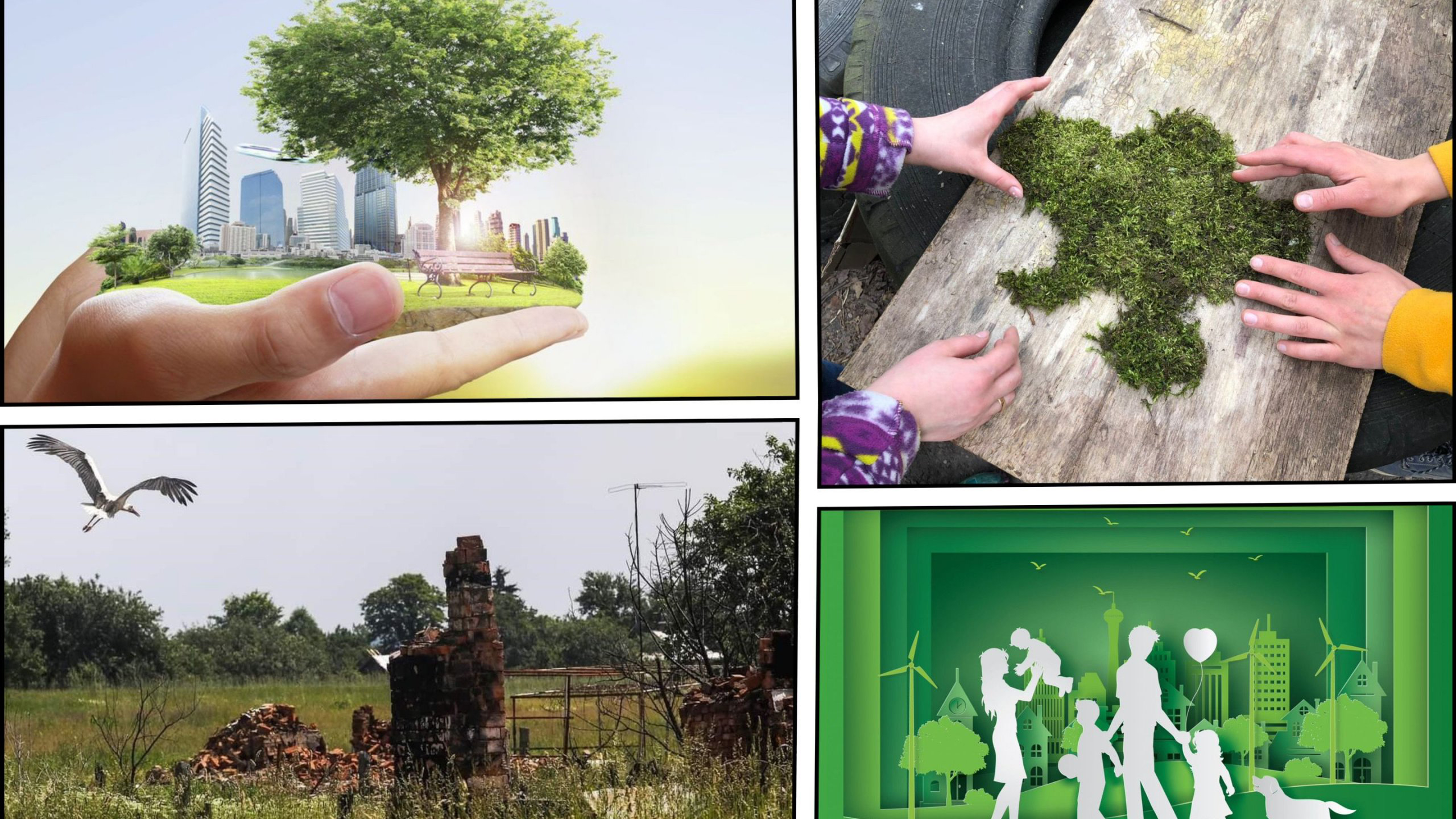 Лубенська міська рада спільно з NEFCО  запрошує на лекцію і тренінг у сфері зеленого відновлення