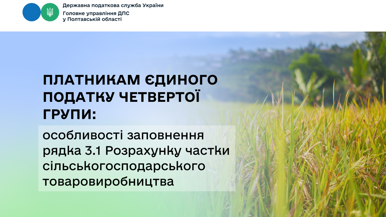 Платникам єдиного податку четвертої групи: особливості заповнення рядка 3.1 Розрахунку частки сільськогосподарського товаровиробництва