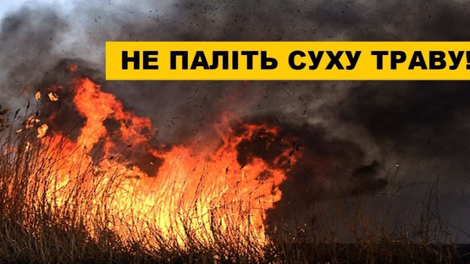 Вогонь не пробачає: не паліть сухостій!