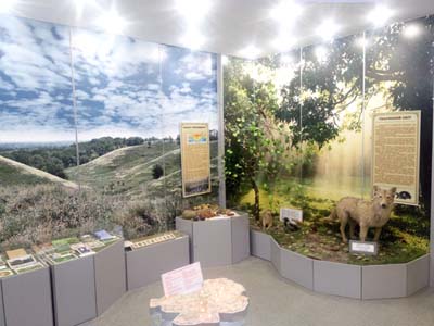 52 В залі природи