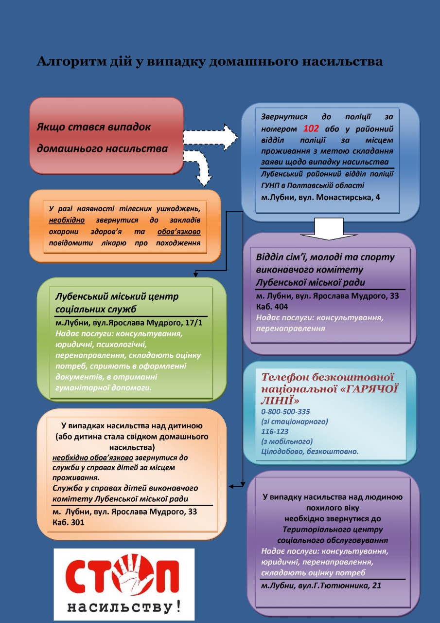 alhorytm dii u vypadku domashnoho nasylstva