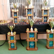 Чемпіонат України зі змішаних єдиноборств